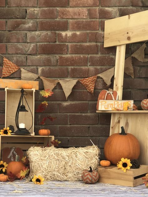 Fall Backdrops, Pumpkin Stand, Outdoor Learning Spaces, Toddler Themes, Pumpkin Stands, Fall Mini Sessions, Bridal Photography Poses, Studio Background Images, Fall Mini