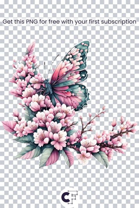 Colorful Butterfly on Cherry Blossom Branch PNG Blossom Branch, Cherry Blossom Branch, Colorful Butterfly, Colorful Butterflies, Natural World, Creative Fabrica, Cherry Blossom, Blossom, Cherry