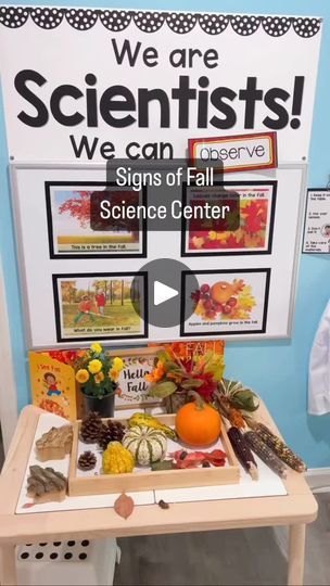 5.8K views · 550 reactions | Preschoolers learn so much by observing, touching, and handling real-life materials.  They need to use all of their senses to develop an understanding of each concept. That’s why we love this fall science center. 🍂  Students can pick up the fall objects. 🍁 They feel the weight, the texture, the size, and the shape. 🖐 They see the colors and the patterns. 👀 They compare similarities and differences. ⚖️ They notice small details, like the silk on the harvest corn and the lids on the acorns. 🌽🌰  At the science center, they practice new vocabulary and use it to describe the objects. Their brain synapses are connecting as they put all of the pieces of information together to form the concept: These are Signs of Fall! 🍁🍎🐿🕷🎃🍂  Would you like a link to thes Fall Science Center Preschool, Fall Objects, Fall Science Center, Preschool Seasons, Fall Science Activities, Science Center Preschool, Seasons Preschool, Pre-k Science, Harvest Corn