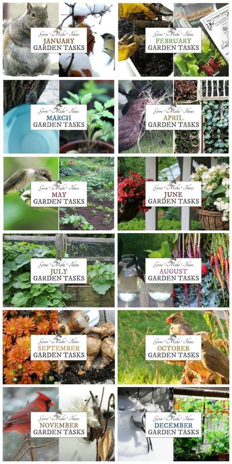 Gardening Month By Month, Gardening Calendar Uk, Monthly Gardening Schedule, Garden Schedule Calendar, Starter Garden Vegetables, Garden Chores By Month, Monthly Gardening Checklist, Garden Tasks By Month, Seattle Gardening Ideas