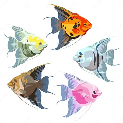 A Set of Colorful Fish - Angelfish, Isolated on a White Background. the Illustration - Adult Fish. Stock Vector - Illustration of golden, adult: 245412905 Angle Fish, Fish Vector, Fish Stock, Angel Fish, Colorful Fish, Screen Savers, Framed Artwork, Design Projects, White Background