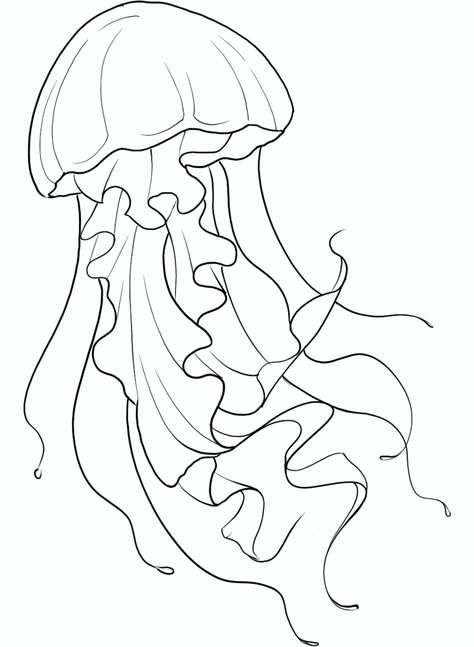 Jellyfish Outline Drawing, Jelly Fish Drawing Ideas, Drawing Ideas Jellyfish, Jellyfish With Flowers, Jellyfish Drawing Easy, Easy Jellyfish Drawing, Jellyfish Stencil, Jellyfish Outline, Black And White Jellyfish