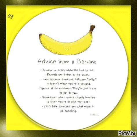 Advice From A Banana, Banana Sayings, Banana Jokes, Banana Quotes, Banana Facts, Banana Treats, Cute Good Night, Black Color Hairstyles, Color Hairstyles