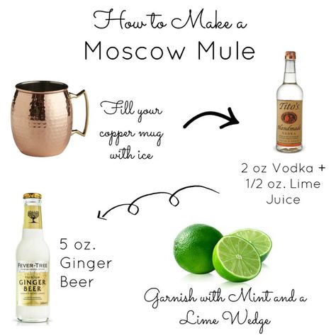 Step by Step Tutorial on How to make the perfect classic moscow mule! An easy last minute cocktail for your dinner guests! Moscow Mule Recipe Classic, Moscow Mule Drink Recipes, Moscow Mule Drink, Bartender Recipes, Mule Drink, Bartender Drinks Recipes, Alcohol Beverages, Moscow Mule Recipe, Bartender Drinks