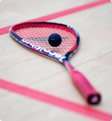 Love this raket Squash Sport, Squash Tennis, Health Equipment, Sports Aesthetic, Lion Pictures, Racquets, Workout Aesthetic, Sports Humor, Tennis Racket