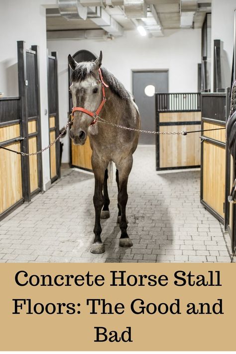 The advantages and disadvantages of concrete horse stalls.#horse stalls,#concrete,#concrete floors,#stall floors,#horses, Concrete Horse Stalls, Stall Flooring For Horses, Horse Stall Flooring, Horse Wash Stall, Horse Stall Floor, Horse Feed Room, Barn Makeover, Stall Flooring, Horse Pens