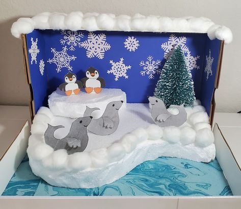 Seals and penquins in an polar habitat. Seal Habitat Project, Penguin Diarama For Kids, Artic Habitat Project, Penguin Habitat Project, Penguin Projects For Kids, Arctic Habitat Diorama, Polar Habitat Project, Penguin Habitat Shoebox Project, Artic Diorama For Kids