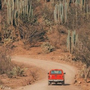 Cactus reserve for driving in Mexico road trip planner Yearly Bucket List, Mexico Road Trip, Road Trip Planner, 100 Things To Do, Trip Planner, Printable Checklist, Best Beaches, Cuba, Bucket List