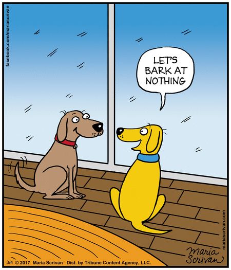 Half Full by Maria Scrivan for Mar 4, 2017 | Read Comic Strips at GoComics.com Dog Comics, Dog Jokes, Memes Humor, Dog Sitting, Cartoon Dog, Dog Quotes, Dog Memes, Funny Cartoons, Cute Funny Animals