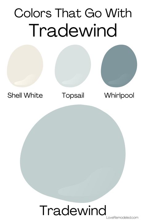 Sea Salt And Agreeable Gray, First Star Sherwin Williams, Tradewind Sherwin Williams, Sherwin Williams Drift Of Mist, Mist Paint Color, Drift Of Mist, Sherwin Williams Silver Strand, Rainwashed Sherwin Williams, Sea Salt Paint