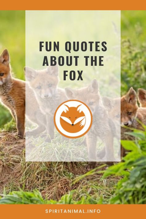 Fox Quotes Inspirational, Fox Quotes Wisdom, Quotes About Foxes, Fox Sayings, Fox Puns, Government Lies, Fox Quotes, Fox Totem, Get Well Quotes