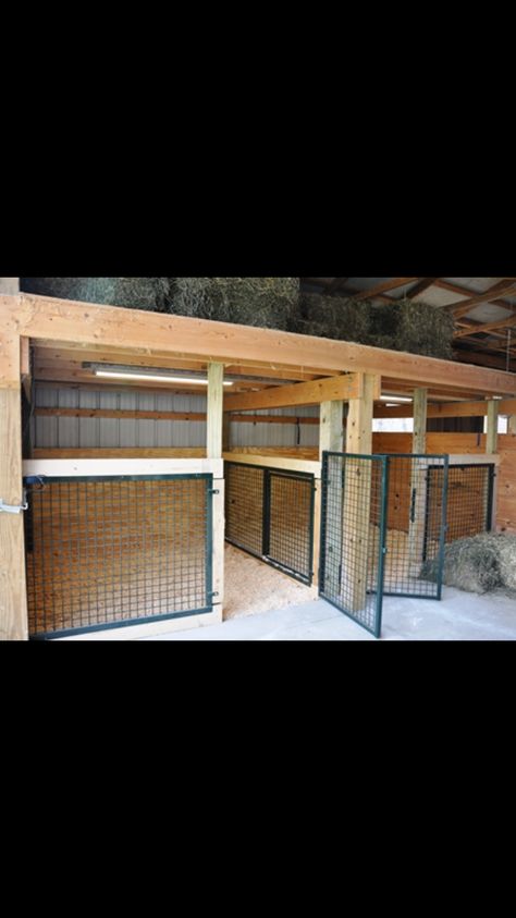 Horse Stall Dog Kennel, Cow Enclosure Ideas, Barn Setup Ideas, Cow Enclosure, Sheep Barn Ideas, Cow Barn Ideas, Sheep Enclosure, Animal Barn Ideas, Goat Pens