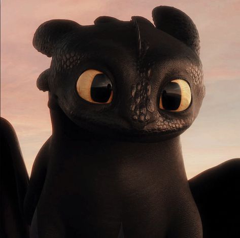 @Black_Amber_Rose Toothless Pfp, Heroes Of Dragon Age, Cute Toothless, Httyd Toothless, Toothless Night Fury, Cute Dragon Drawing, Dragon Icon, Httyd Art, Sweet Drawings