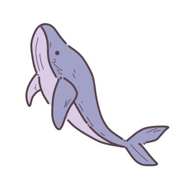 Whale Shark Clipart, Big Animals Drawing, Blue Whale Drawing Simple, Cute Whale Doodle, Decorative Drawing Ideas, How To Draw Whale, Whale Cute Drawing, How To Draw A Whale, Whale Illustration Cute