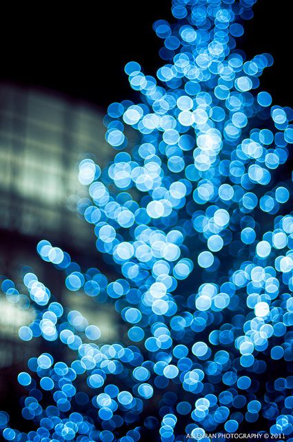 Blue Christmas Tree By allenran 917 Blue Christmas Lights, Lights Aesthetic, Blue Lights, Blue Christmas Tree, Color Celeste, Blue Tree, Christmas Tree Lighting, Blue Christmas, Christmas Love