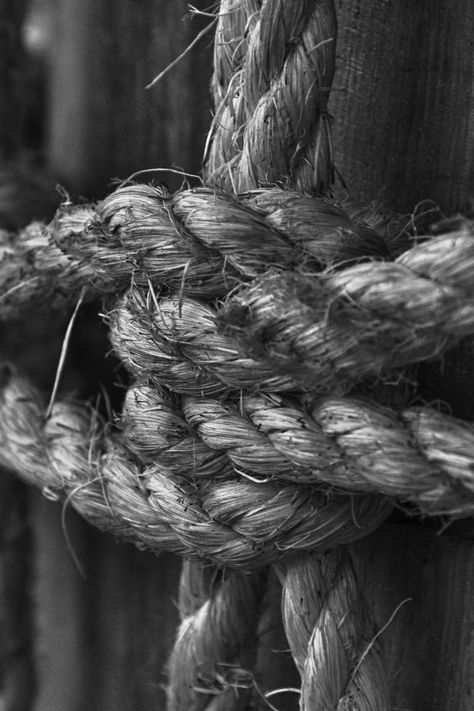 New free photo by b.. See more of b.'s work on Pexels at https://www.pexels.com/u/b-201200/ #wood #black-and-white #rope Black Magic Love Spells, Narcissistic Parent, White Rope, Akashic Records, Foto Art, Feeling Loved, Black Magic, Free Stock Photos, Photography Inspiration