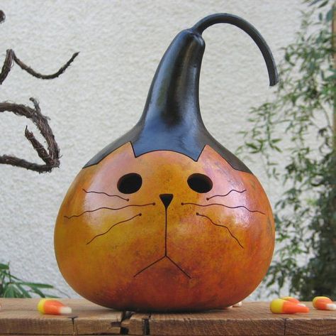 Cat Gourd, Veselý Halloween, Gourds Diy, Gourd Birdhouses, Fall Gourds, Halloween Gourds, Gorgeous Gourds, Pumpkin Eater, Gourds Birdhouse