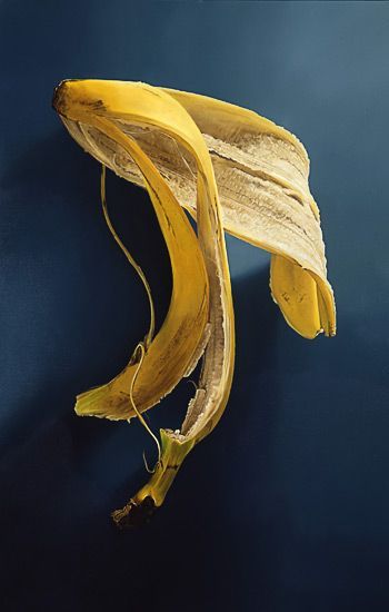 Casca de Banana by Tjalf Sparnaay, 2008 Tjalf Sparnaay, Hyperrealism Paintings, Hyperrealistic Art, Photo Realism, Hyper Realism, Hyper Realistic Paintings, Oil Painting Nature, Realistic Oil Painting, Food Painting