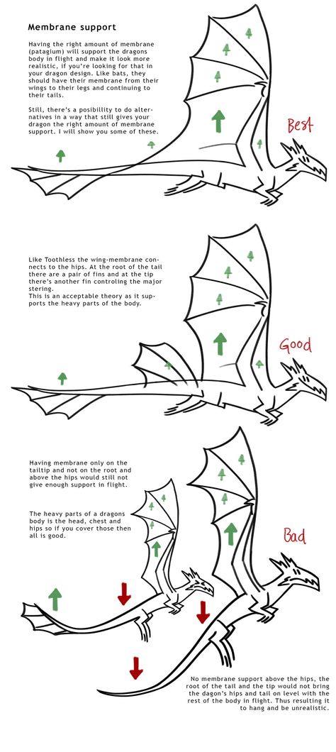 Dragon Membrane Theory v01 by SammyTorres.deviantart.com on @deviantART Dragon Anatomy Drawing, Dragons Wings, Sketch Dragon, Draw A Dragon, Dragon Anatomy, Drawing Dragon, Wings Drawing, Dragon Sketch, Seni 2d