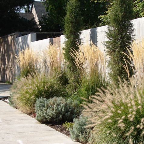 Simple Fence, Creative Fence, Landscaping Along Fence, Privacy Landscaping, Innovative Materials, Fountain Grass, Grasses Landscaping, Front Landscaping, Grasses Garden