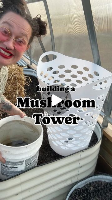 Tonya Snyder on Instagram: "🍄 Wanna hear a mushroom growing hack?  • Let’s take my mushroom grow block from @lushanddew_official and build a higher yielding mushroom tower with it instead! • You can even wait until after a few mushroom harvests from your oyster mushroom grow kit, first, before taking it outdoors for its new life, if you want! • You can mix the blocks with woody yard waste and/or layers of straw to grow even more tasty mushrooms! • I’ve started towers in mid-summer where temperatures exceeded 95°F for several days, and the first flush of mushrooms came after 40 days.  • Here in Missouri the best time, though, to start a mushroom tower is spring or early fall when there are mild temperatures and plenty of rain. • And that’s what we are doing today!  • Though I’m contemplati How To Grow Porcini Mushrooms, Grow Mushrooms At Home From Scraps, Button Mushrooms Growing, Outdoor Mushroom Garden, Grow Oyster Mushrooms At Home, Oyster Mushrooms Growing, How To Grow Oyster Mushrooms, Grow Mushrooms Indoors, Grow Mushrooms From Scraps