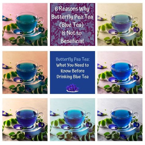 Benefits Of Butterfly Pea Tea, Blue Pea Flower Benefits, Butterfly Tea Benefits, Blue Butterfly Pea Flower Benefits, Butterfly Pea Flower Tea Benefits, Blue Butterfly Pea Flower, Pea Flower Tea, How To Make Butterfly, Butterfly Pea Tea