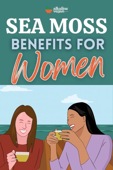 Benefit Of Sea Moss, Organic Sea Moss, What Is Sea Moss Good For, Seaweed Benefits Health, Health Benefits Of Sea Moss, Raw Sea Moss, Sea Moss Powder Recipes, Seamoss Benefits For Women, Seamoss Smoothie Recipes