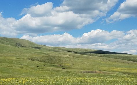 Wyoming Plains, Grassy Plains, Plains Landscape, Grassland Habitat, Great Plains, Nature Conservation, Northern Virginia, Sioux, West Virginia