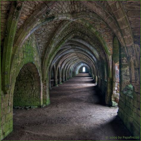 Fountains Abbey, Historic Architecture, Yorkshire England, Beautiful Castles, Gothic Architecture, Abandoned Buildings, Historical Architecture, Perfect World, North Yorkshire