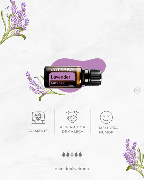 Óleo essencial doTERRA Lavanda Doterra, Spa Moodboard, Doterra Oils, Doterra, Graphic Design Inspiration, Essential Oils, Graphic Design, Quick Saves, Instagram