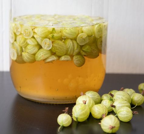 Gooseberry Compote, Gooseberry Gin, Gin Recipe, Gooseberry Recipes, Flavoured Gin, Gin Recipes, Mint Lemonade, River Cottage, Recipe 30