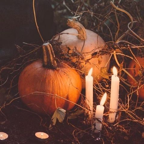 Samhain Tarot, Samhain Altar, Samhain Ritual, Gothic Coffin, Cozy Rainy Day, Cosy Autumn, All Souls Day, Autumn Candle, Autumn Magic