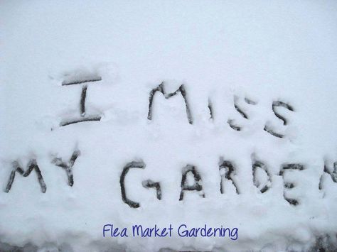 Missing my garden Ready For Spring Quotes, Gardening Memes, Flea Market Gardening, Garden Works, Spring Quotes, Potager Garden, Garden Quotes, Nature Garden, Garden Signs