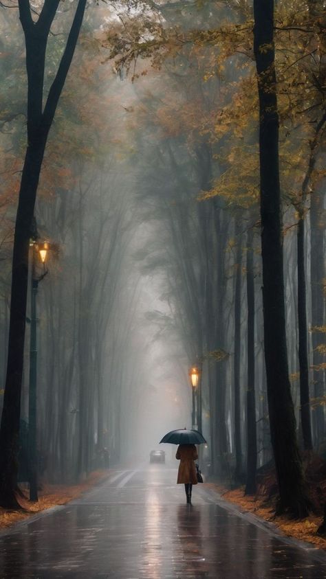 Raining Scenery, Foggy Road, Panorama Photography, Best Nature Wallpapers, Rain Wallpapers, Fotografi Alam Semula Jadi, Autumn Scenes, Autumn Scenery, Beautiful Landscape Wallpaper