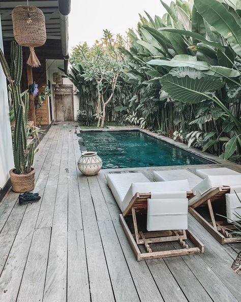 The pool at Villa Kula, photo by Taverna Travels | Looking for an awesome place to stay in Bali with a private pool? You just found it. This guide reviews some of the best villas with private pools in Bali, for every budget. Start planning your dream Bali trip! #bali #balitraveltips #balivillas #villawithpool #indonesia #asia #indonesiatraveltips Kleiner Pool Design, Villas In Bali, Bali House, Small Pool Design, Small Pools, Backyard Pool Designs, Swimming Pools Backyard, Swimming Pool Designs, Small Backyard Pools