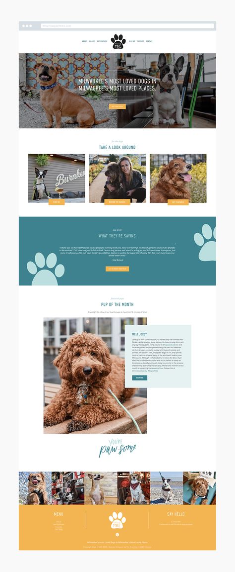 Pet Websites, Website Showcase, Squarespace Inspiration, Squarespace Blog, Simple Web Design, Web Design Quotes, Squarespace Design, Creative Web Design, Design Websites