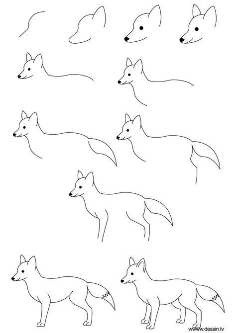 How To Draw Step By Step | learn how to draw a fox with simple step by step instructions Trin For Trin Tegning, Fox Crafts, Desen Realist, Fox Drawing, How To Draw Steps, Miracle Morning, Art Video, Art Instructions, Zucchini Recipes