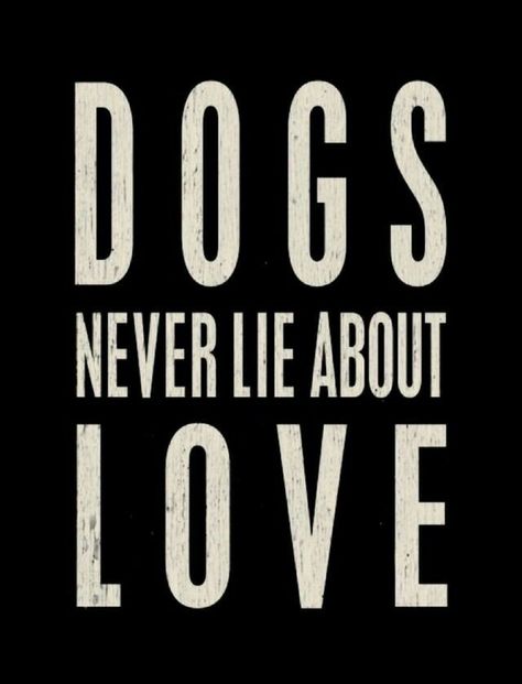 Sarkastisk Humor, Dog Phrases, Dog Rules, The Don, Crazy Dog, Animal Quotes, Dog Quotes, Baby Dogs, Dog Life