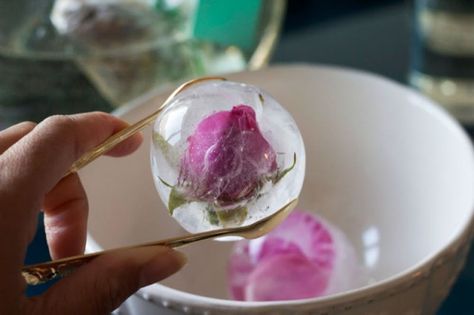 It’s a Tea Par-DIY! Make Refreshing Flower Sun Tea with Flower Ice Cubes | Brit + Co Floral Ice Spheres, Tea Ice Cubes, Flower Sphere, Ice Cube Recipe, Ice Sphere, Floral Ice Cubes, Fruit Ice Cubes, Flower Ice Cubes, Flavored Ice Cubes