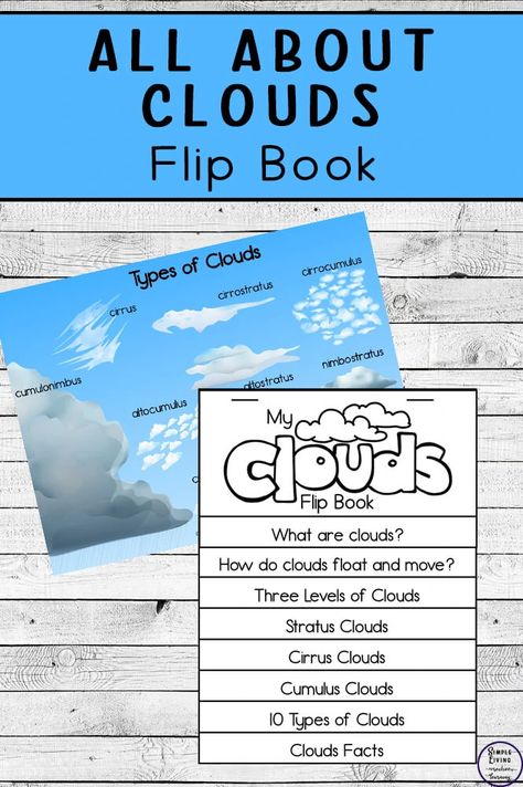 Clouds Lesson Plan, Clouds Lesson, Clouds For Kids, Weather Unit Study, Cloud Activities, Weather Activities For Kids, Weather Theme, Weather Unit, Earth And Space Science