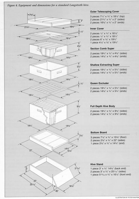 Bee Hives Boxes, Langstroth Hive, Bee Hive Plans, Beehive Design, Backyard Bee, Raising Bees, Backyard Beekeeping, Honey Bee Hives, Bee Boxes