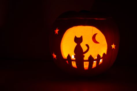 Witchy Pumpkin Carving Ideas, Ghost Cat Pumpkin Carving, Moon And Stars Pumpkin Carving, Witchy Pumpkin Carving, Pumpkin Carving Ideas Simple, Moon Pumpkin Carving, Cat Pumpkin Carving Ideas, Pumpkin Carving Ideas Cat, Cat Pumpkin Carving Stencils