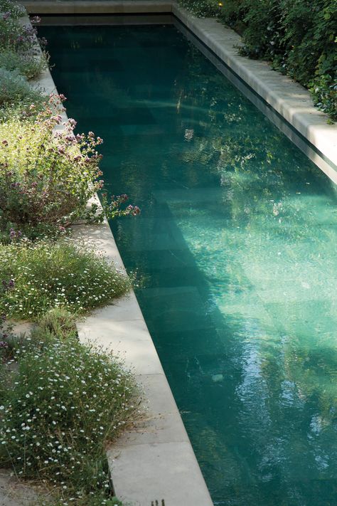 Chelsea – Pierre Yovanovitch Pierre Yovanovitch, British Artists, Swinging London, Beton Design, Natural Swimming Pools, Chelsea London, Natural Pool, Swimming Pool Designs, Small Backyard Pools