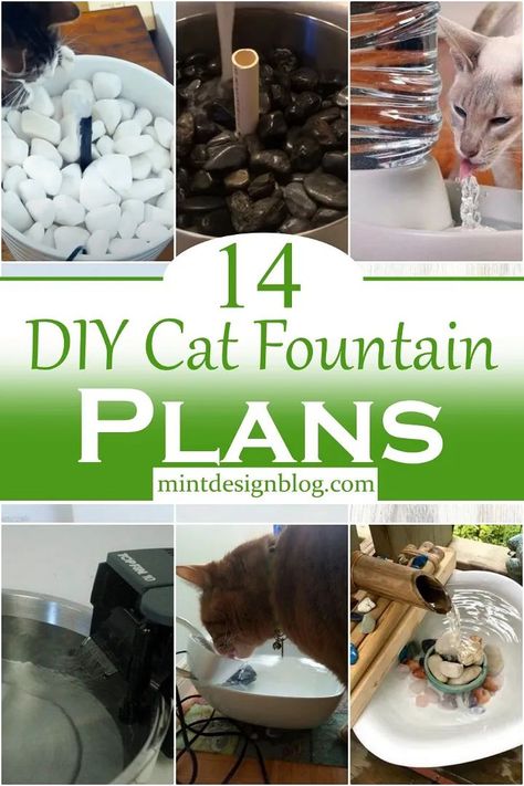 DIY Cat Fountain Plans Chat Diy, Colorful Hairstyles, Cat Water Bowl, Diy Water Fountain, Cat Fountain, Cat Proofing, Diy Fountain, Indoor Water Fountains, Diy Bowl