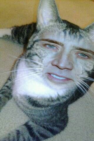 Nicolas Cage, Show Us, My Cat, The World, Funny