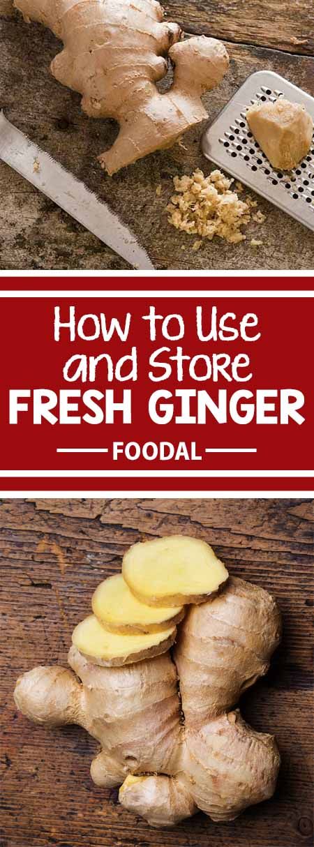 Ginger Root Recipes, Storing Fresh Ginger, How To Store Ginger, Ginger Recipes, Food Info, Ginger Root, Food Prep, Fresh Ginger, Kombucha