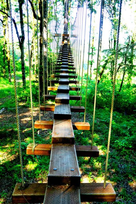 Tree Zipline, Bungee Jump, Activities For All Ages, Tree House Plans, Tualatin Oregon, Tree House Diy, Tree House Designs, Hillside Landscaping, Zip Line