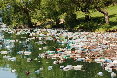 Plastic pollution. Heavy plastic pollution in wild beautiful landscape , #ad, #Heavy, #pollution, #Plastic, #plastic, #landscape #ad Toxic Foods, Water Pollution, Bottled Water, Plastic Pollution, Water Filtration System, Holistic Nutrition, Environmental Issues, Water Filtration, Natural Living