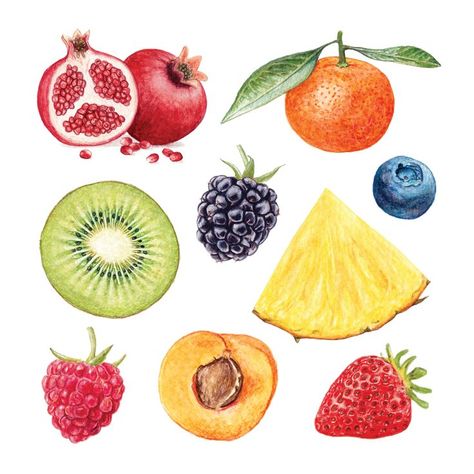 By Abigail Harris Watercolour Fruit Illustration Watercolour Branding, Watercolor Fruit Paintings, Watercolor Art Fruit, Fruit Illustration Art, Fruit Sketches, Watercolour Fruits, Watercolour Fruit, Drawing Fruit, Fruits Painting