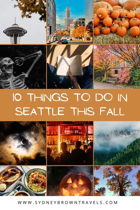 These are 10 of the best things to do in Seattle in the fall! From pumpkin patches to haunted houses, and everything in between! Visiting Seattle in October and November is a great way to celebrate the fall and spooky season. Seattle In October, See The World Quotes, Washington Things To Do, Visiting Seattle, Seattle Vacation, Things To Do In Seattle, Seattle Travel, Visit Seattle, Washington Travel